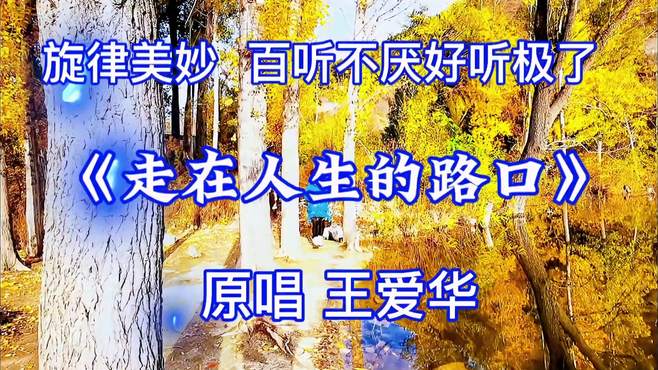 原唱 王爱华《走在人生的路口》火遍全网?好听极了 音画同步