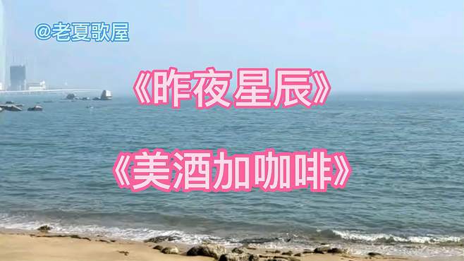 经典老歌电子琴DJ版