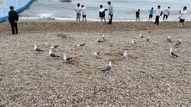 海边 不错的地方 放松心情