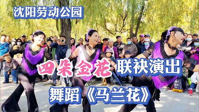 沈阳劳动公园四朵金花联袂演出舞蹈《马兰花》，现场观众真有眼福