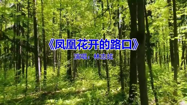 《凤凰花开的路口》，曲调动听，歌声迷人