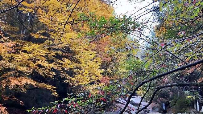 光雾山两日游最佳路线，光雾山迎来旅游热潮