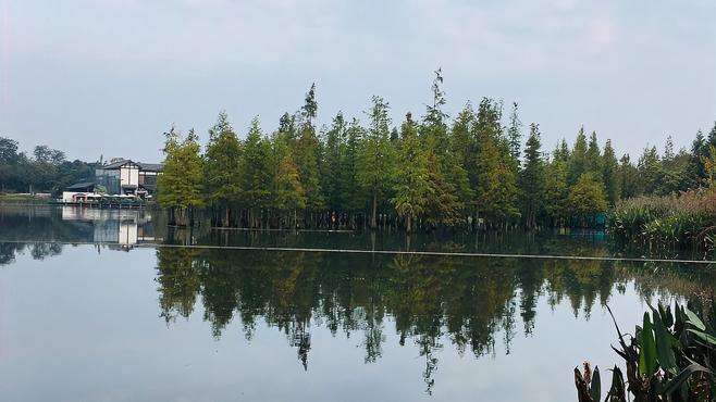 白鹭湾—国家城市湿地公园，一弯湖水环绕茂密的森林，天然氧吧！