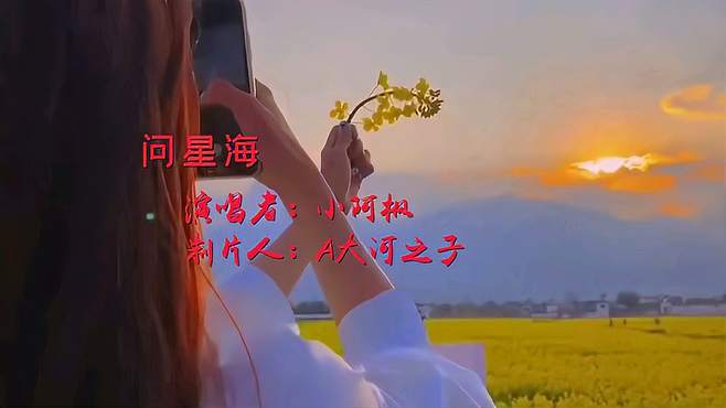 情感音乐推荐《问星海》，演唱：小阿枫