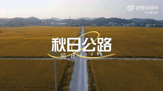 秋天最美的路  风吹稻香，洒下一路金光。（钦南公路养护中心）