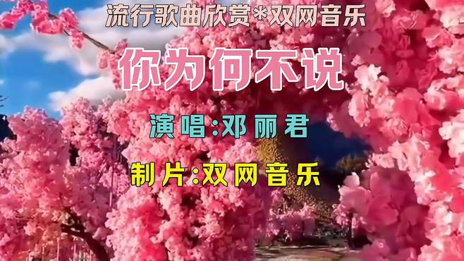 邓丽君《你为何不说》双网音乐非常好听的歌曲