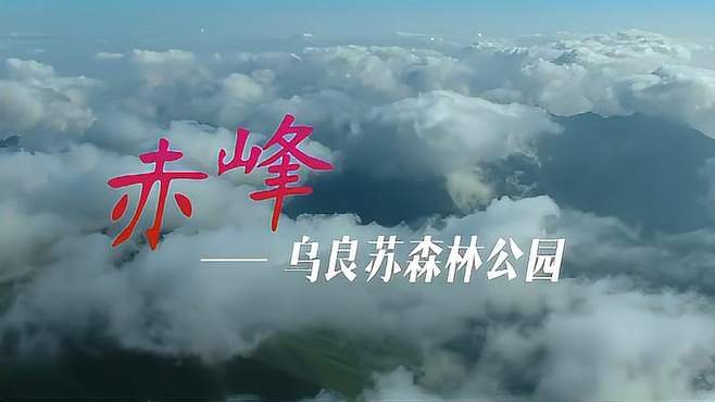 亮丽内蒙古第39期：赤峰乌良苏森林公园