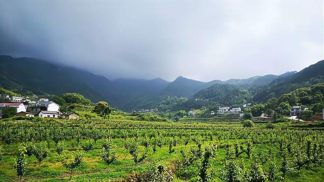 官庄镇乐平村：从普通乡村到美丽乡村的跨越