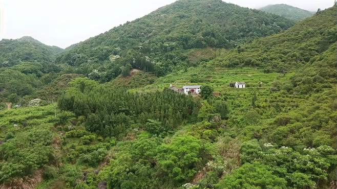 退休省干部回老家生活，带着老伴就住在这半山上，真会享受