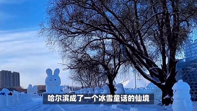 哈尔滨下雪了，这座东北城市的冬季童话开始了