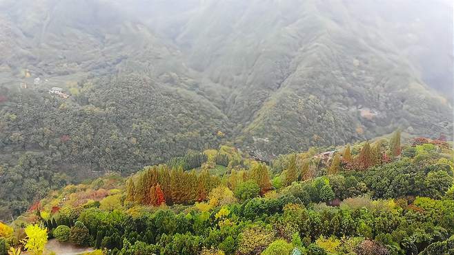 旅游景区：十堰市牛头山森林公园