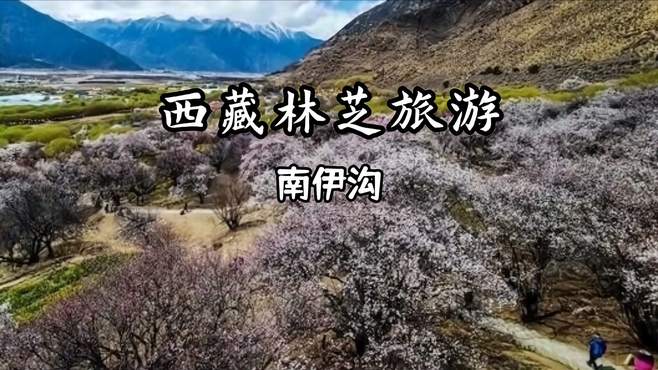 西藏林芝旅游推荐 南伊沟