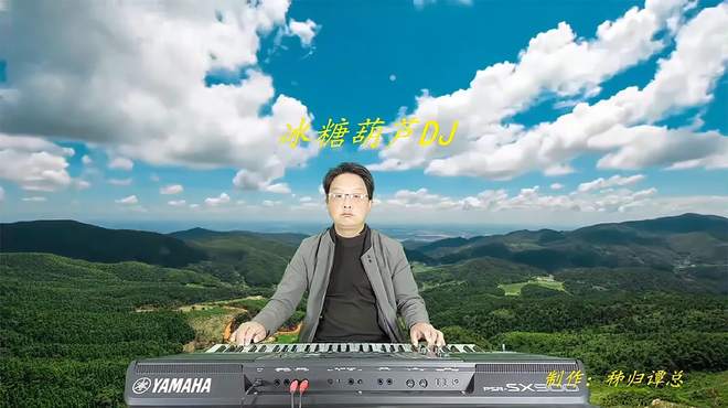 《冰糖葫芦》DJ电子琴音乐