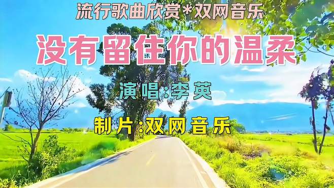 李英《没有留住你的温柔》双网音乐非常好听的歌曲