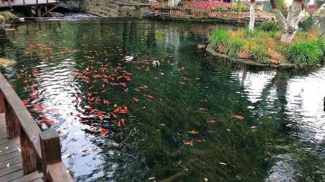 乌鲁木齐水磨沟公园