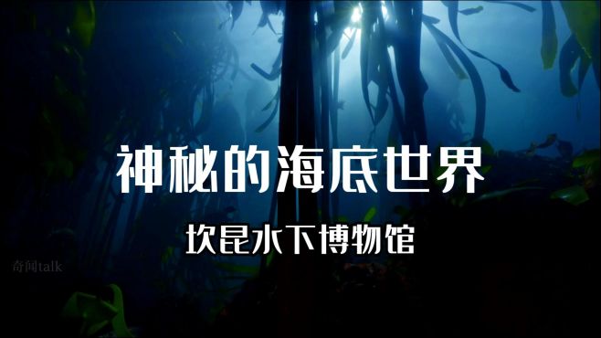 那些你不知道的事！神秘的海底世界——坎昆水下博物馆