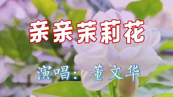 董文华演唱《亲亲茉莉花》