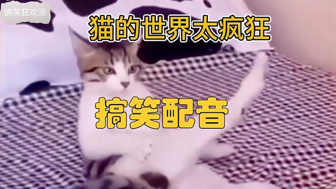 搞笑配音-猫的世界太疯狂