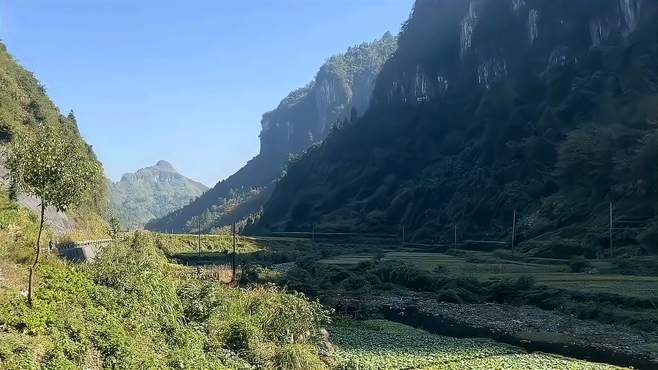 冬日天空，万里无云，峡谷里种了好多菜