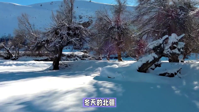 冬日北疆，冰雪奇缘般的美景