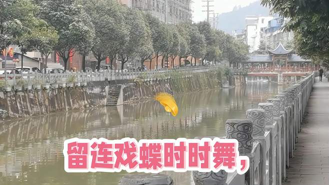 广西那坡风景随拍，看清晨那坡县城滨河路美景，聆听鸟儿的叫声