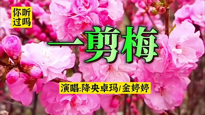 降央卓玛_金婷婷同唱《一剪梅》你听过吗，哪个你更喜欢