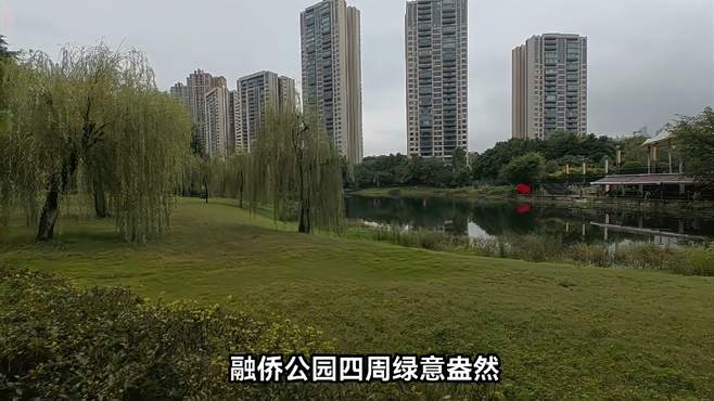 融侨公园，一个隐藏在钢筋混凝土中的小众景点