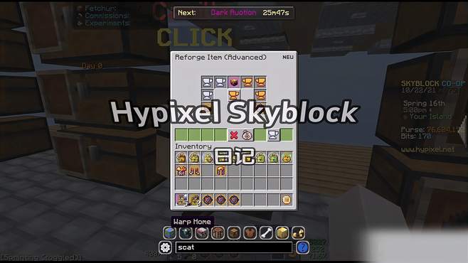 Hypixel Skyblock 日记