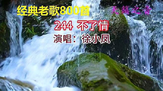 经典老歌800首 244 不了情 演唱：徐小凤