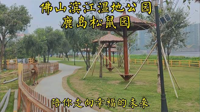 佛山滨江湿地公园，欣赏活泼可爱松鼠，鹿，东平水道等景色优美