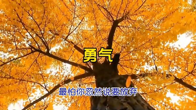 重温梁静茹的成名曲《勇气》，那年我们17岁，经典的旋律百听不厌