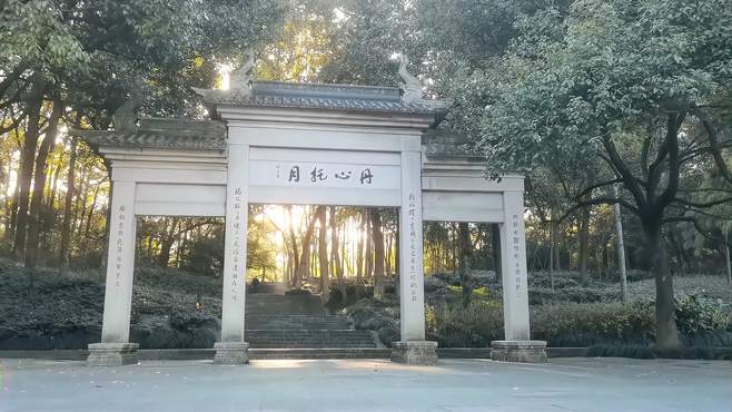 西湖杨公堤乌龟潭风景无限