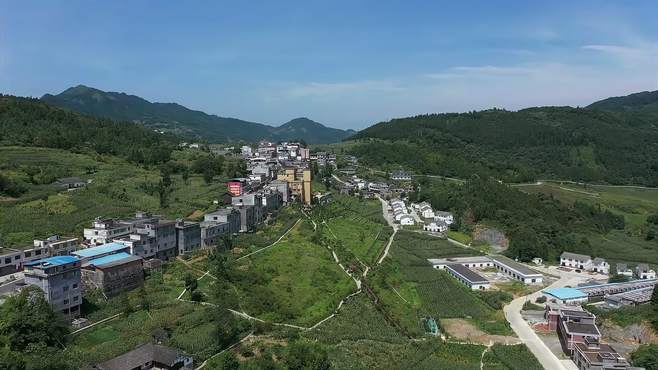 古蔺箭竹美景：袁家沟