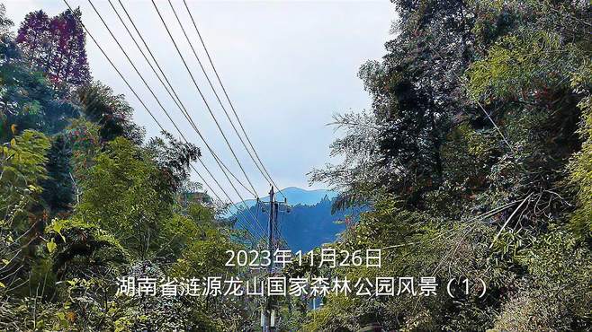 2023年11月26日湖南省涟源龙山国家森林公园风景（1）