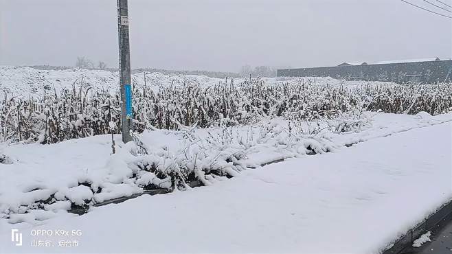 下雪了下大雪了？