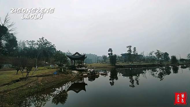 休闲公园随拍风景