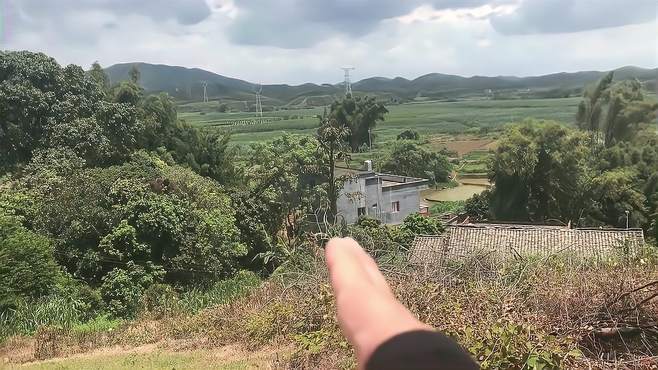 福钦带你来看一穴 广西钦州开族坟，田螺地