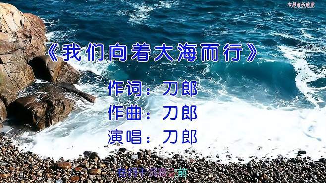 《我们向着大海而行》半生感悟出人生终极方向，感染力超强