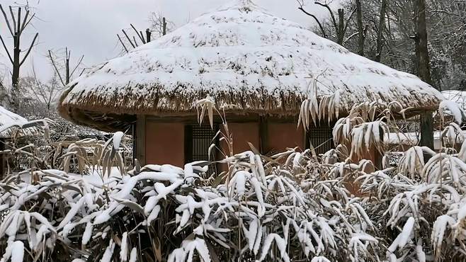 极寒冬日之旅，在城市街头感受浪漫的雪景美景