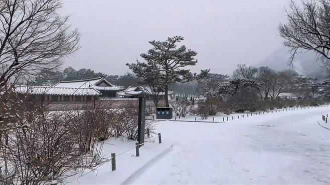 漫步繁华都市街头，沉浸冬日雪景的神秘美妙，心灵得到极大满足