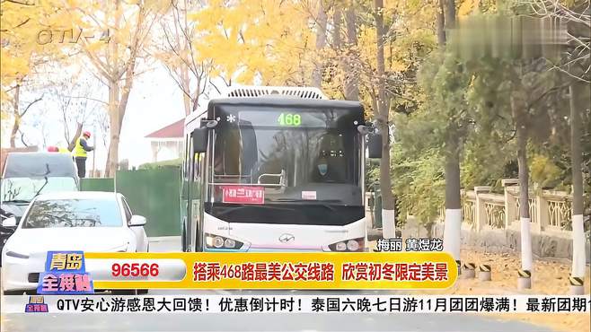 绿色环保，性价比高！搭乘468路最美公交线路，欣赏初冬限定美景