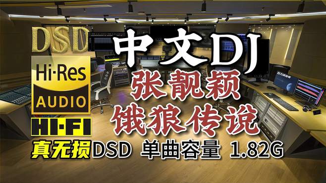 劲爆中文DJ，张靓颖《饿狼传说》DSD完整版，单曲容量1.82G