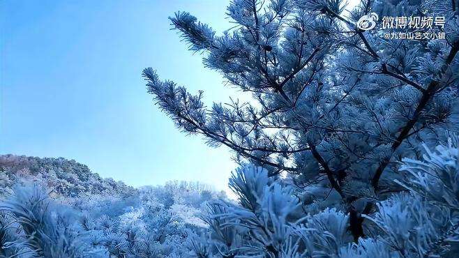 雾凇  雪 九如山雾凇！柳树结银花，松树绽银菊，宛若仙境 
via