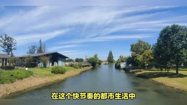 上海嘉定湿地公园隐藏在大都市的美景