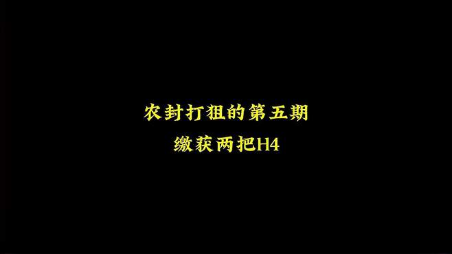 农封打狙的第五期—两把H4