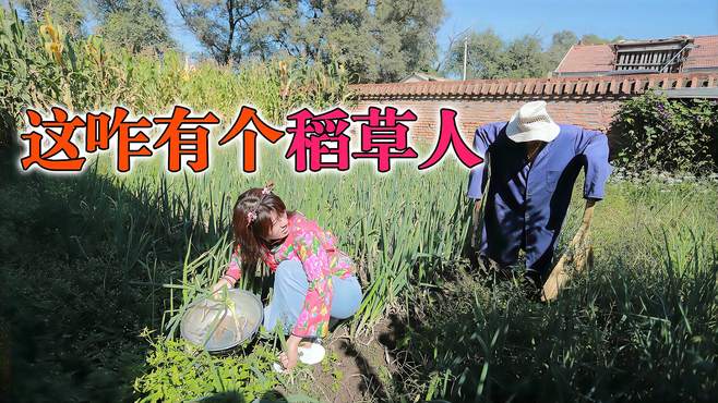 隔壁小媳妇天天来家里偷大葱，第三天被小伙逮个正着，结局太逗了