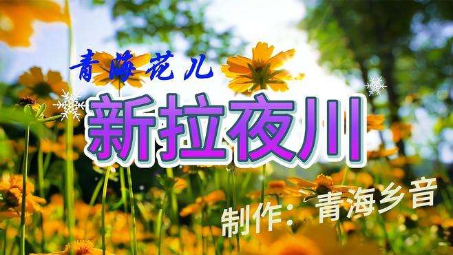 青海花儿【新拉夜川】完整版带歌词