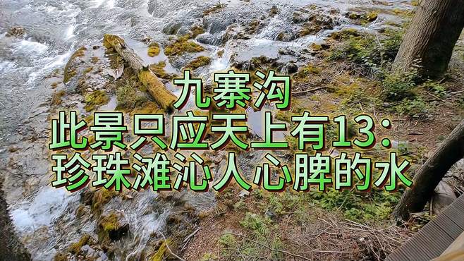 九寨沟此景只应天上有13：珍珠滩沁人心脾的水