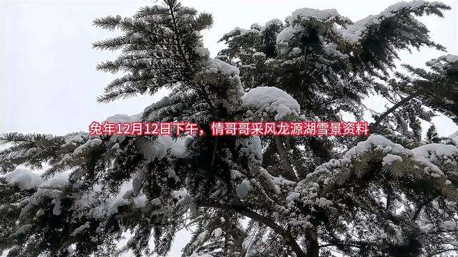 兔年12月12日下午，情哥哥采风龙源湖雪景资料