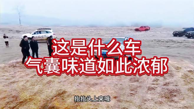 这是什么车，气囊味道如此浓郁